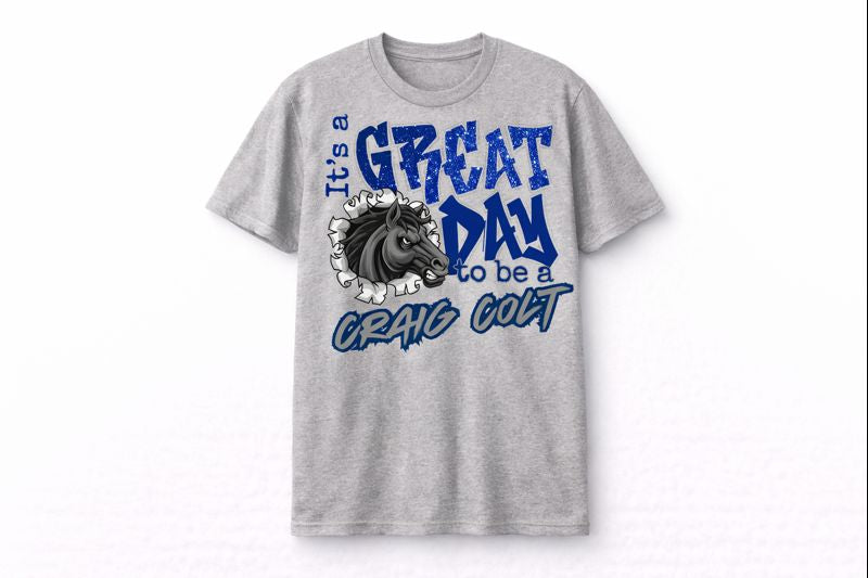 Its a Great Day Craig Colts -Grey